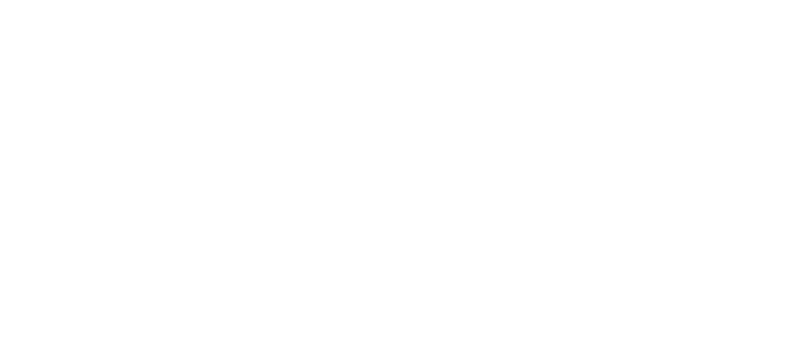 Siamo Shoes